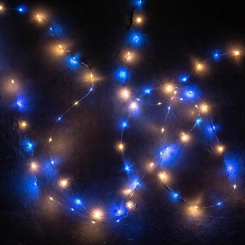 1000 LEDs Blue Warm White Fairy String Light