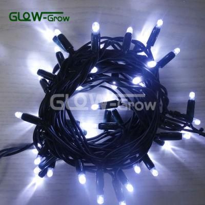 CE Approval Rubber Wire LED Christmas String Light for Outdoor Light Use
