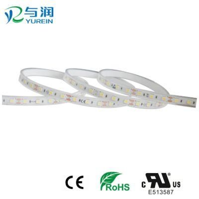 ERP Standard Flexible LED Strip Lighting with High CRI IP65 LED Strips