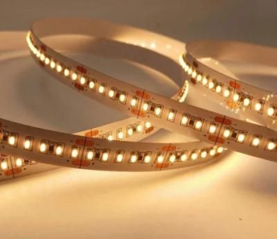 2110 High CRI Ra&gt;95 R9 &gt;60 One Bin Small Size High Density 240LED 700LED Per Meter LED Strip