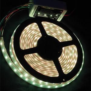 3528 9.6W 60LEDs RGB Flexible Beach LED Strip Rope Light