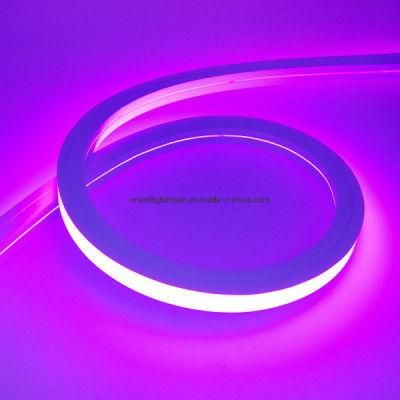 Waterproof IP67 Flexible Ribbon LED Neon Strip Light Decorative Lighting
