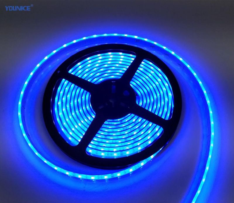 IR Remote Control 5050 RGB Color Changing Light LED Strips