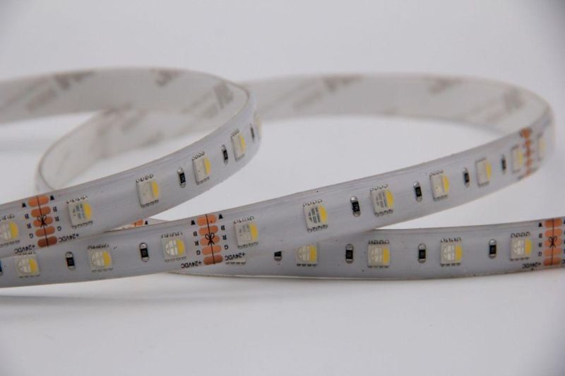 5050 60LED/M 14.4W/M Flexible SMD5050 RGB+W LED Strip 2year Warranty