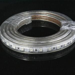 High Voltage LED Strip SMD 5050 RGB for Building Decoration