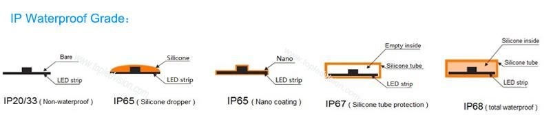 SMD 5050 RGB DC 12V Changeable Neon Strip Waterproof IP68 Indoor LED Strip Light