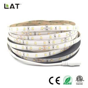 High Brightness DC12V DC24V IP65 SMD2835 Cw Ww 10m 120LEDs Flexible LED Strip Tape Ce ETL UL