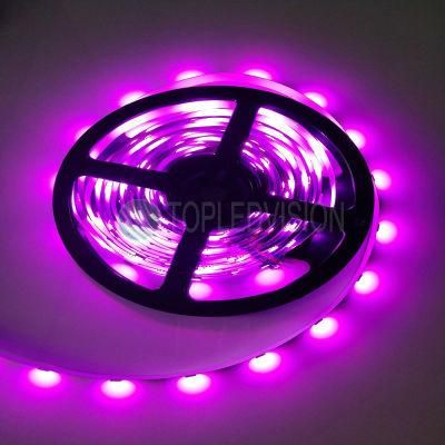 Hot Selling 14.4W 5050 RGB Flexible LED Strip 60LEDs/M