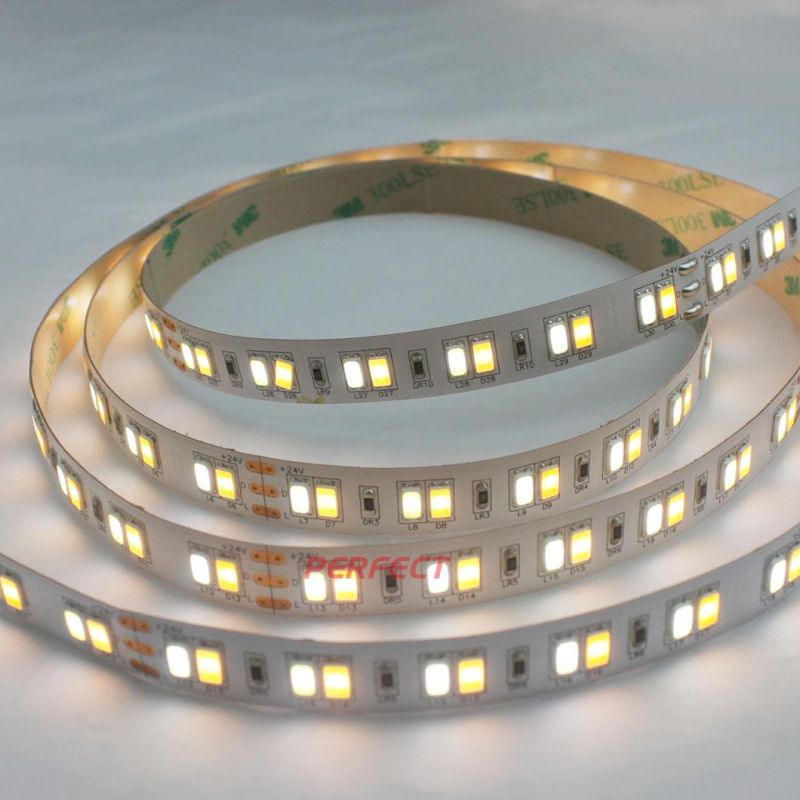 High Lumen SMD 5630 DC 24V CCT Adjustable LED Strip