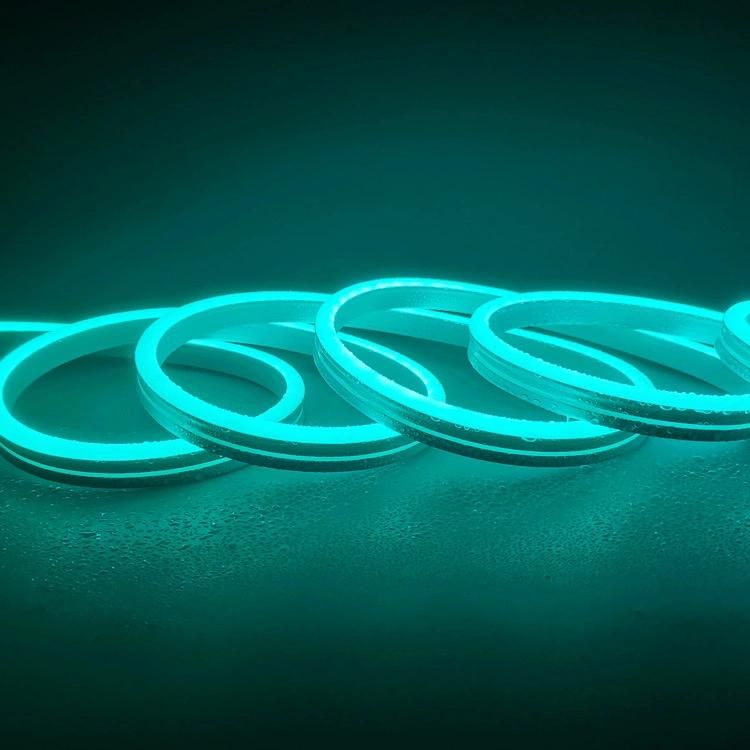 2835 Neon Light with Imitation Silicone Luminous Flexible 12V Low Voltage Light Strip