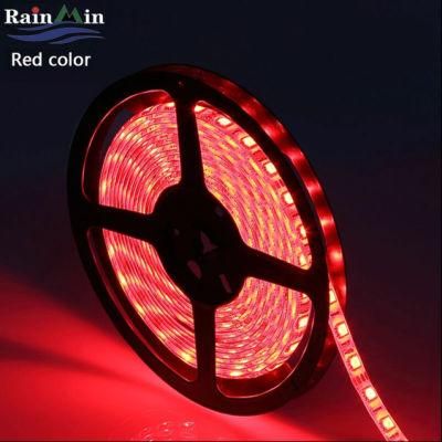 Home Decoration Low Voltage RGB Strip Light for Christmas Decorations