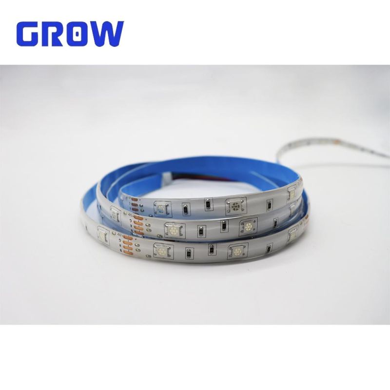 High Brightness 30PCS/M 5050SMD IP65 LED Strip Light 5m/Roll for Indoor or Outdoor Lighting