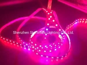 5 Years Warranty Addressable Digital Pixel Flexible LED Strip Light Tape Lighting Christmas Decoration Wedding Decoration Lighting