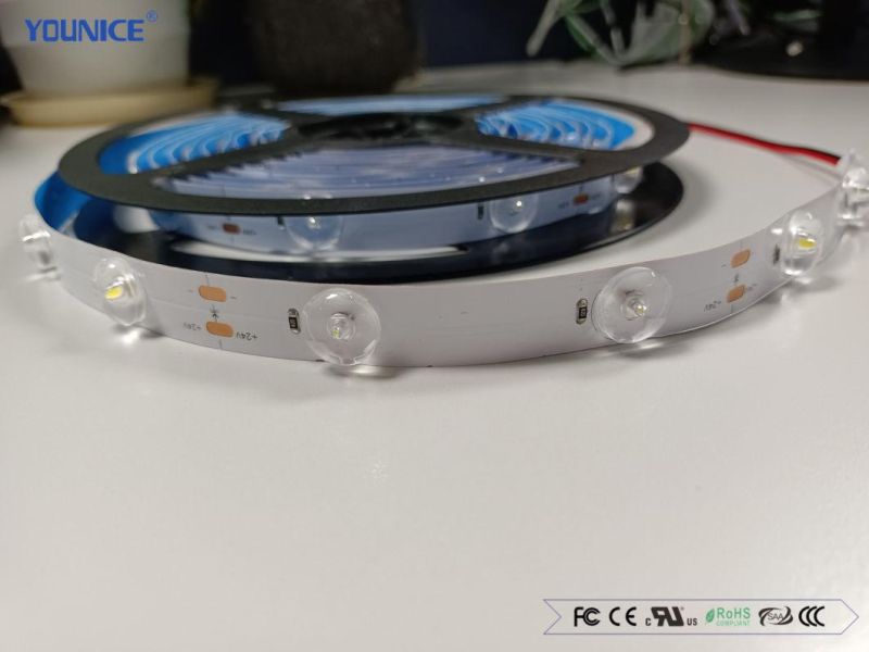 Advertising Curved Light Box LED Light Source Optical Lens LED Flexible Strip