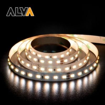 220PCS/M CCT Dim to Warm SMD3014 Flexible Rope Light 12V 24V LED Strip with TUV CE, IEC