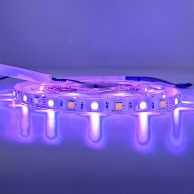 CE Approved Cx-Lumen WiFi Connected RoHS LED Light with Long Life Time Cheap Price