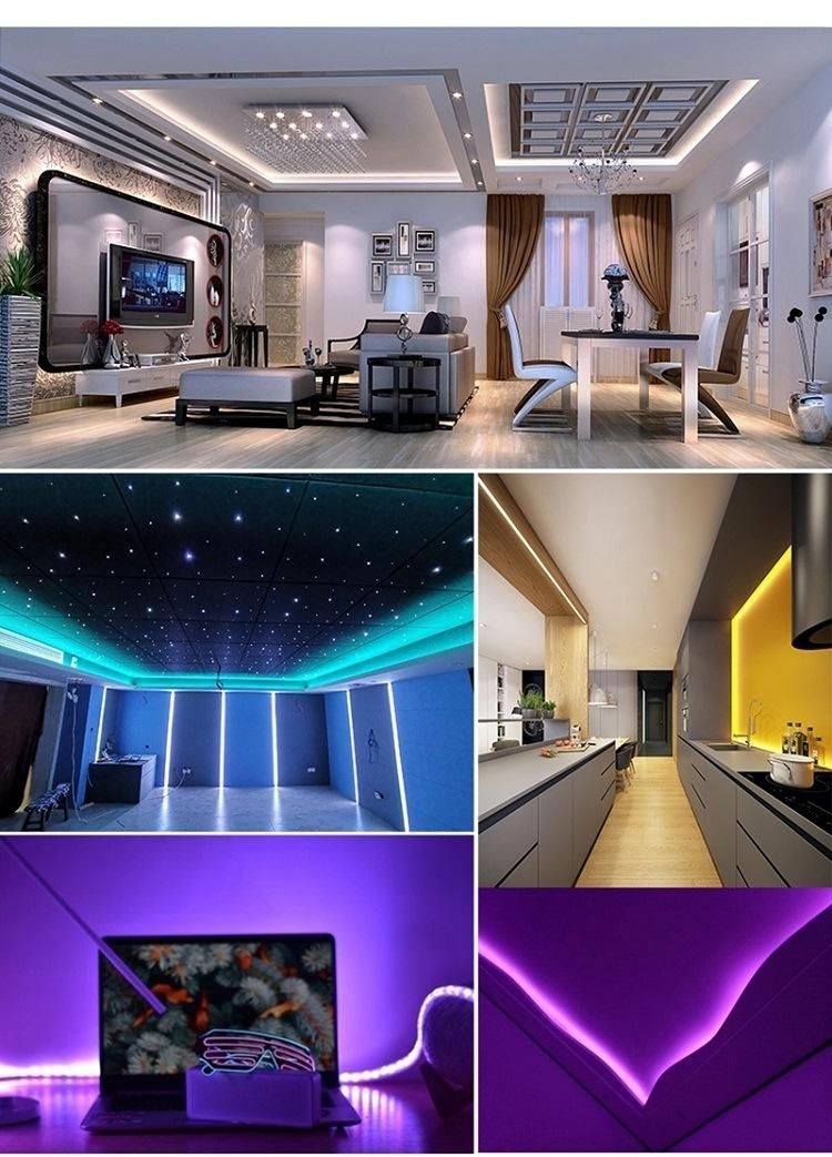 RGB Strip Light Decoration Light AC220V/110V SMD5050 Flexible Strip Light RGB /Holiday LED Light Christmas Light