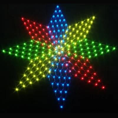 White Star Shape LED Net Lights for Building Decoration