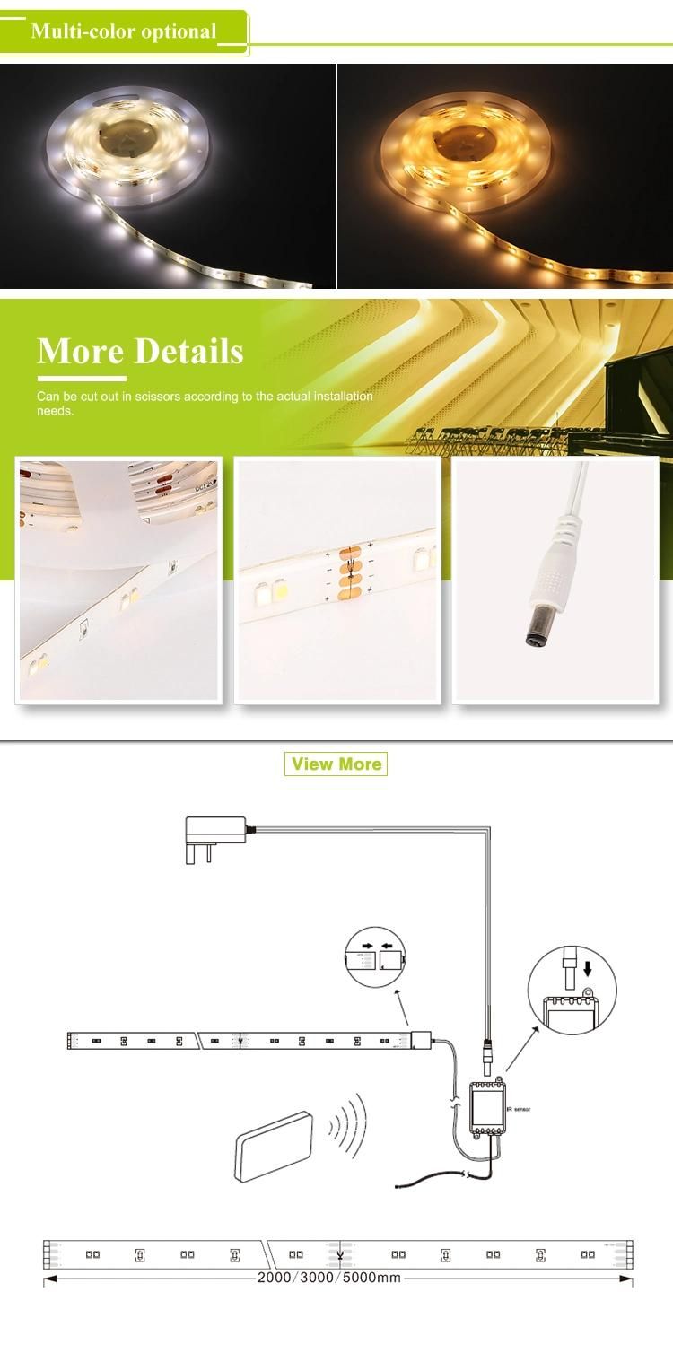 Infrared Remote Control 9.8FT Length DC12V Linear Strip Light Waterproof SMD 2835 Flexibl LED Strip Light