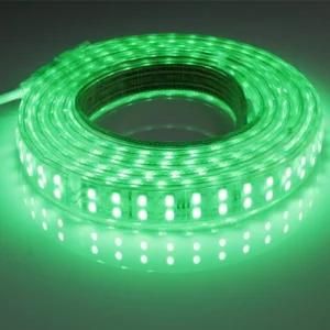 Green Color120LED/M 5050 Double Line LED Rope Light LED Decorative Strip Light