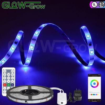 Smart Music Sync Phone APP Controlled SMD 5050 Dream Color Rope Lights RGB LED Strip Light