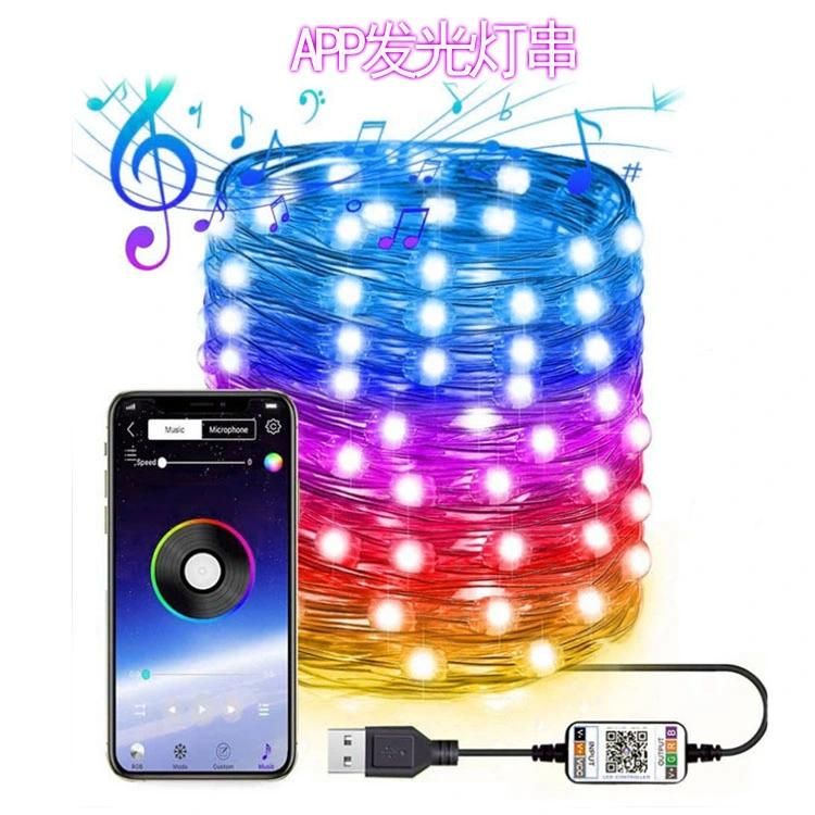 Waterproof APP Control USB Powered 5V Magic RGB Cooper Wire LED String for Christmas Tree Decoration