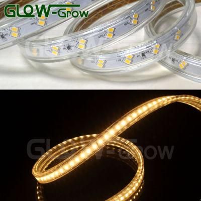 Double Line Rope Lamp DC 120V IP65 Waterproof 120LEDs/M SMD 2835 LED Strip Light