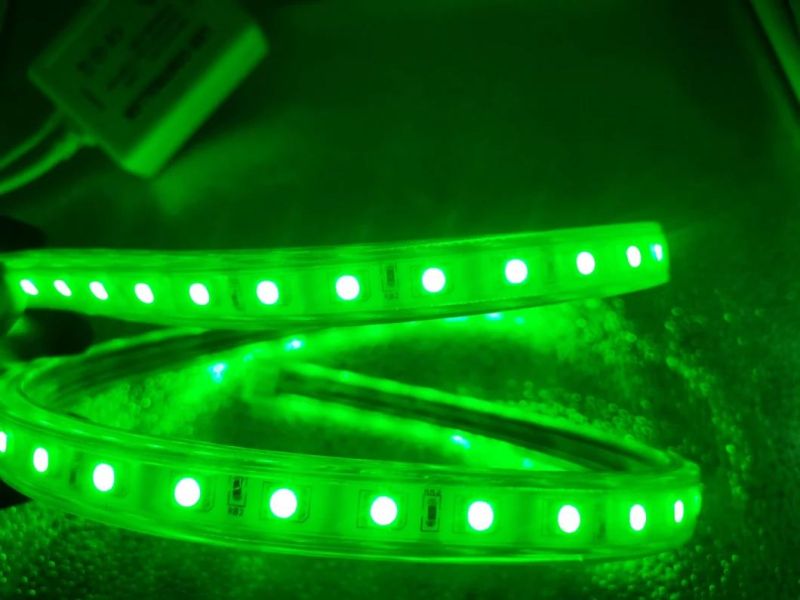 China Top Quality 50m SMD5050 RGB Holiday Christmas LED Decoration Light with RF RGB Controller