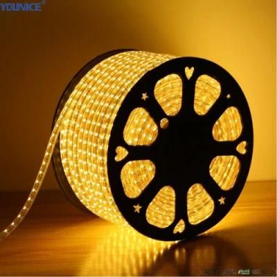 10mm Width 30LEDs/M SMD5050 LED Flexible Tape Strip