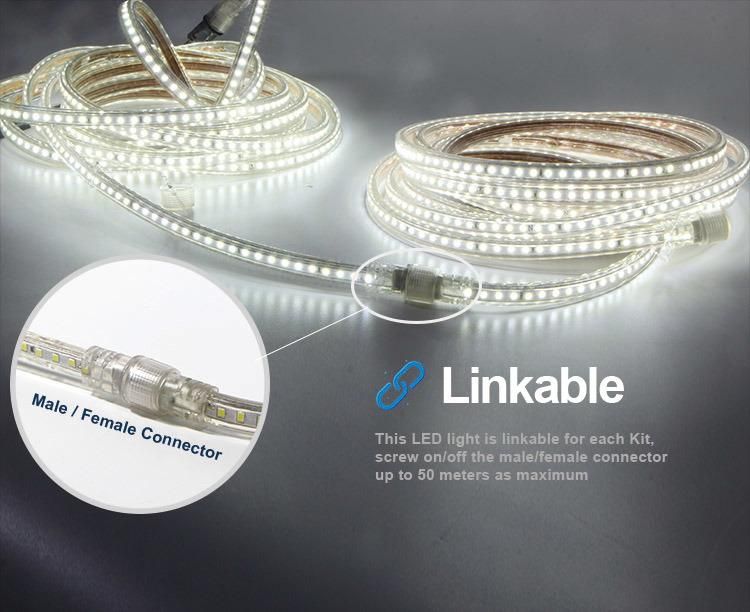 Outdoor IP65 Decorative Strip Light Blister Kit with Linkabele Design Ce RoHS Cert