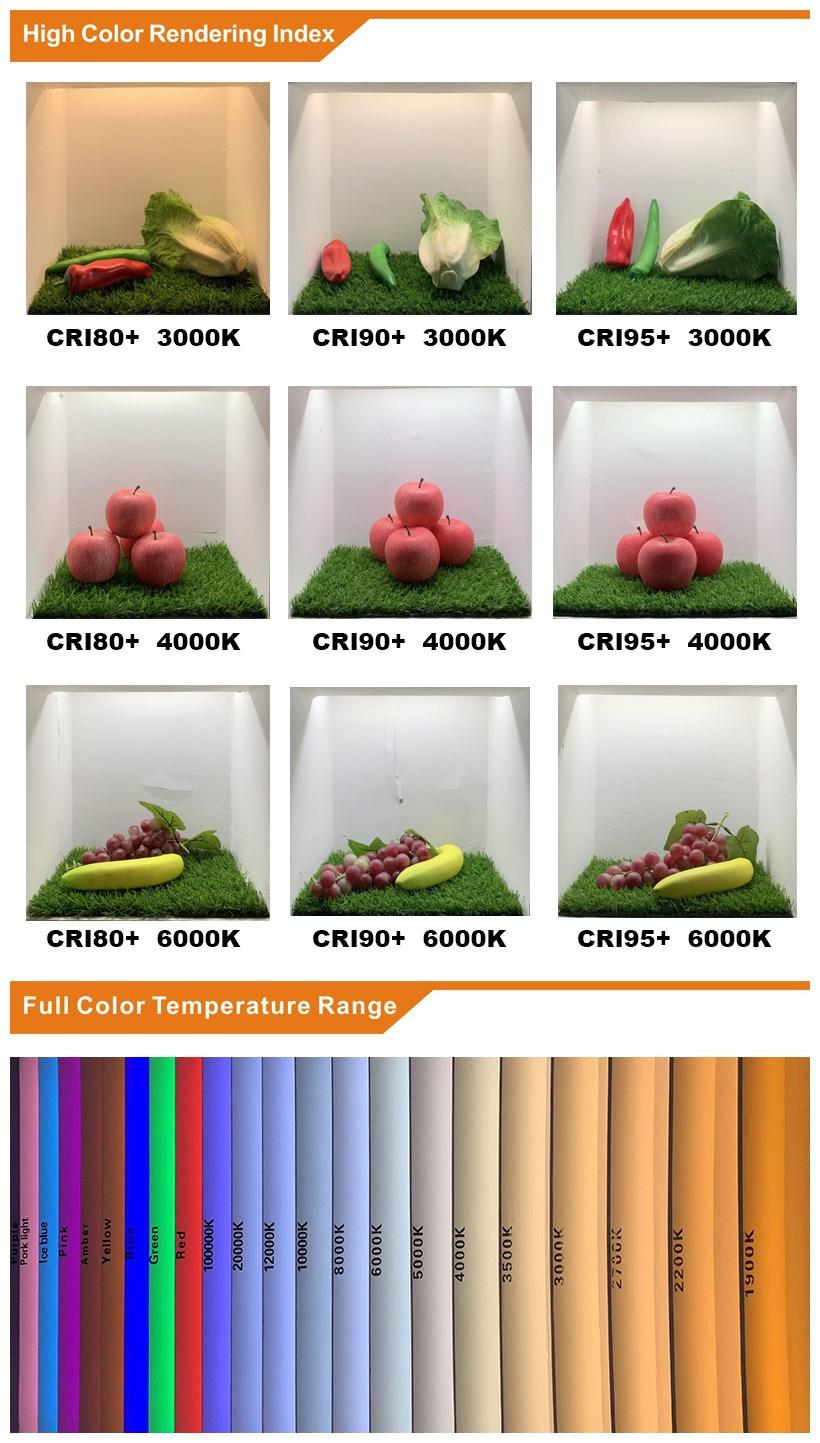 High quality Multicolor LED SMD5050 RGB LED Strip Light For Under Cabinet CRI>80,90,96