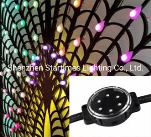 5 Years Warranty DMX Spi LED Pixel RGB Addressable DOT LED Module LED Lights Christmas Decoration Wedding Decoration LED Lighting Module