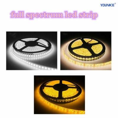 CRI&gt;95 Ra&gt;97 Rg&gt;98 RF&gt;96 Full Spectrum 3000K LED Strip