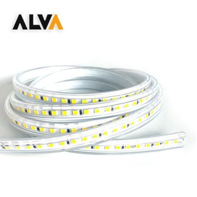 Outdoor Waterproof 2years Warranty AC220-240V LED Strip Light