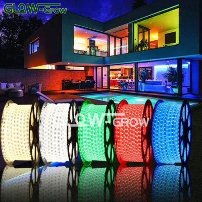 IP65 100m Per Roll 52 LEDs/M 110V~230V LED Strip Light Architectural Lighting for Project Decoration