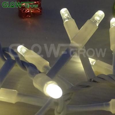 Project Use IP65 LED Cluster Cracker String Light for Window Outdoor Christmas Tree Decoration