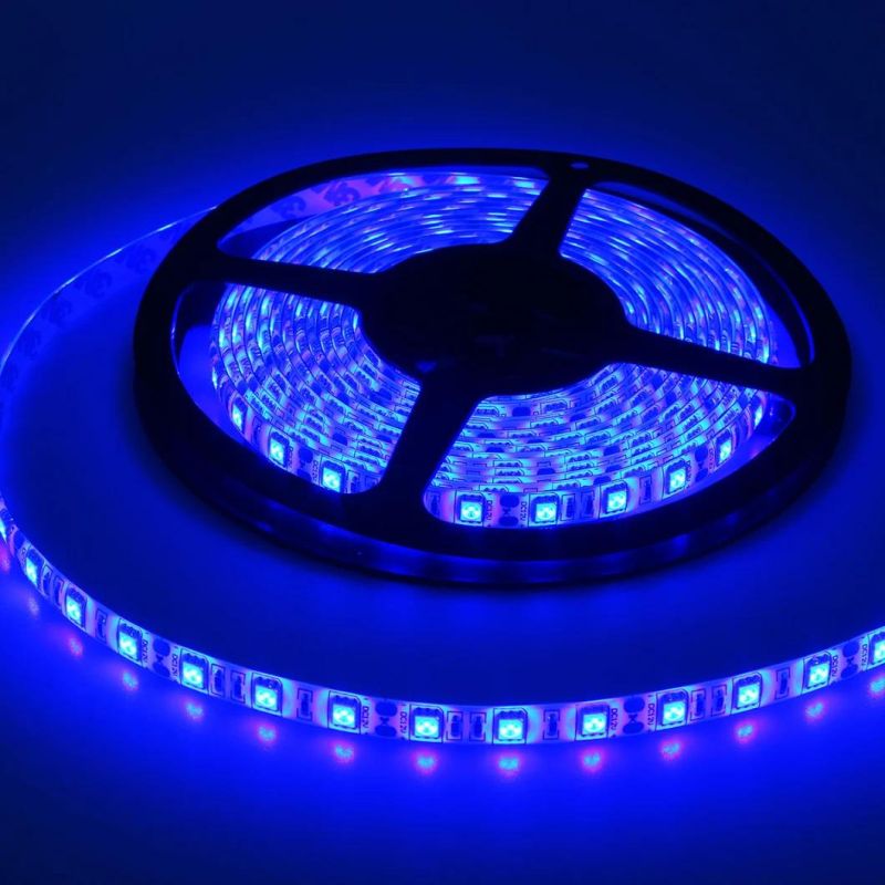 Epistar Chip RGB+W SMD5050 60LEDs/M Lighting Flexible RGB +W LED Light Strip