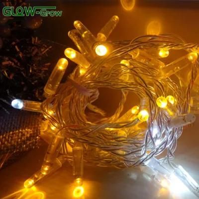 IP65 Warm White PVC Wire LED String Light with Crystal Bullet Cap for Concert Christmas Holiday Party Decoration