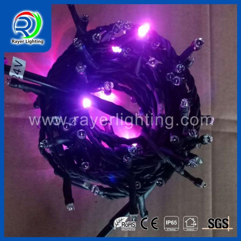 Synchro RGB Color Changing Christmas String Lights