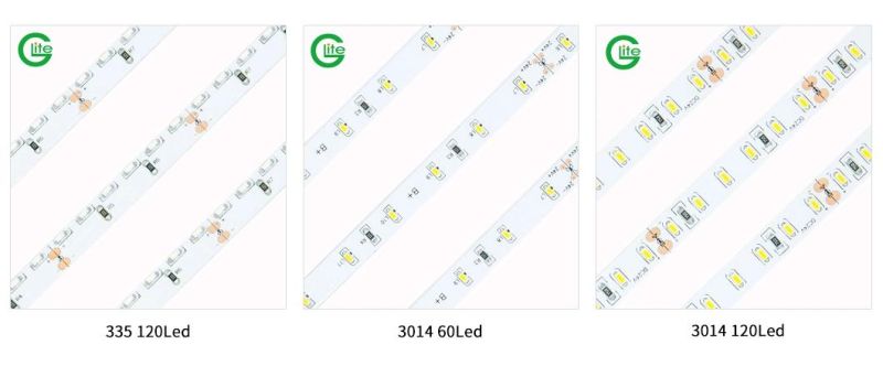 3 Years Warranty SMD 3014 LED Strip DC24V Cool White for Lighting