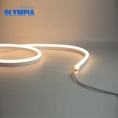 Flexible Waterproof LED Strip 5050 Digital Strip Light