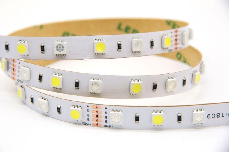 5050 60LED/M 14.4W/M Flexible SMD5050 RGB+W LED Strip 3years Warranty