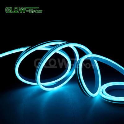 Adapter Approval RGB LED Dream Neon Flex Light with Dimmable Multi-Color