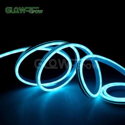Adapter Approval RGB LED Dream Neon Flex Light with Dimmable Multi-Color