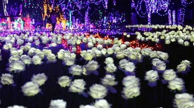 Holiday&Party Christmas Decoration Waterproof IP44 Red Rose LED Light