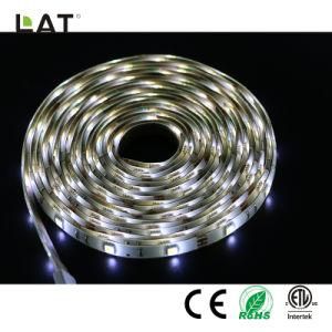 DC12V IP65 Double CCT SMD5025 3m Ww and Cw 30LEDs Flexible LED Strip Light