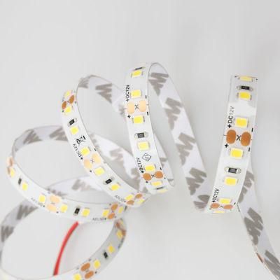 8mm LED Strip Lighting IP65 Waterproof Flexible LED Strip for Outdoor Decorative Lighting