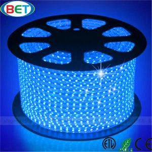 RGB LED Strip Light Outdoor Light Strip High Luminous Color Changeable Strip Light