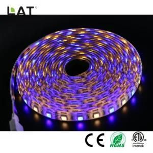 DC12V 5m IP65 High Brightness SMD5050 RGBW 60/120LEDs Flexible LED Strip Light