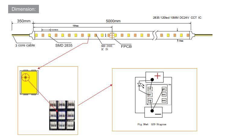 5 Years Warranty SMD 2835 Double Color CCT Dimming 24V Waterproof Flexible LED Strip Light